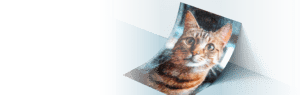 cat photo mosaic memorial