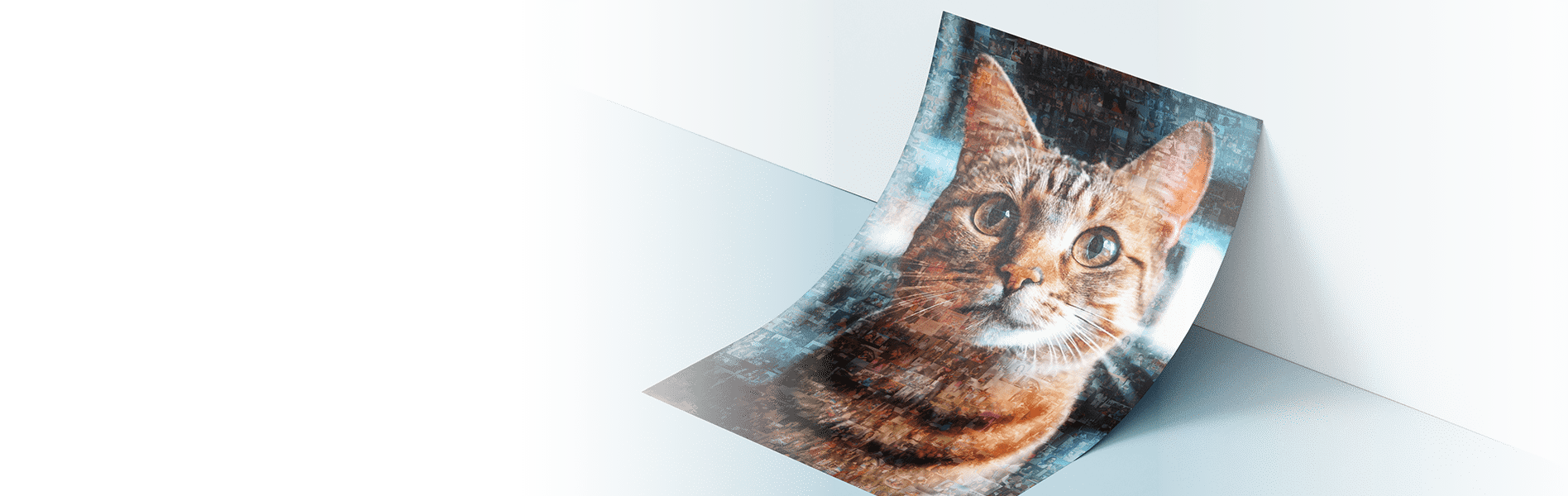 cat photo mosaic memorial