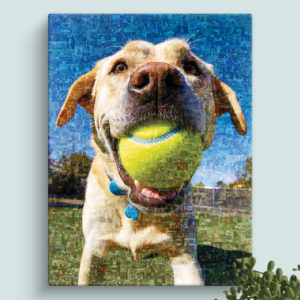 Large Dog Photo Mosaic Maker with happy dog holding a tennis ball