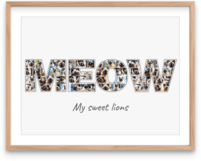 pet photo letter collage meow