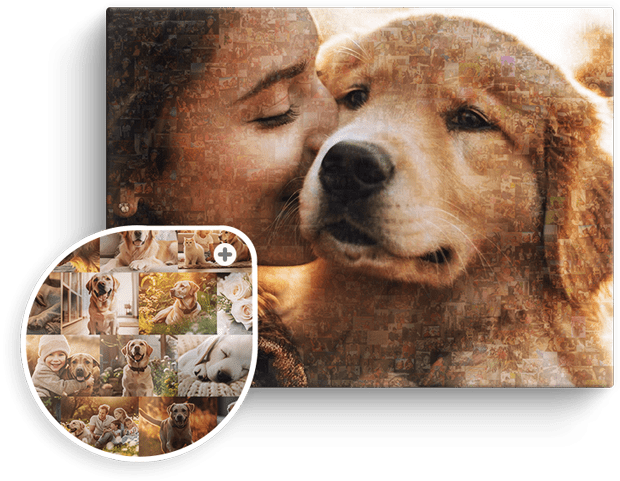 pet photo mosaic maker